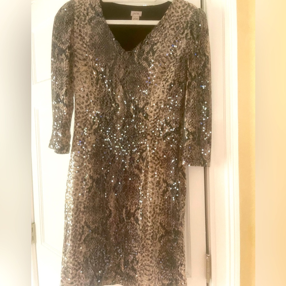 Beautiful sequin dress.